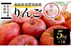 須賀川市産 リンゴ 家庭用 5kg ＜箭内厳雄果樹園＞ りんご リンゴ 林檎 デザート フルーツ 果物 くだもの F7X-0287