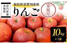 須賀川市産 リンゴ 家庭用 10kg ＜箭内厳雄果樹園＞ りんご リンゴ 林檎 デザート フルーツ 果物 くだもの F7X-0288