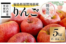 須賀川市産 リンゴ 贈答用 5kg（15～16個）＜箭内厳雄果樹園＞ りんご リンゴ 林檎 デザート フルーツ 果物 くだもの F7X-0289