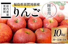 須賀川市産 リンゴ 贈答用 10kg（30～32個）＜箭内厳雄果樹園＞ りんご リンゴ 林檎 デザート フルーツ 果物 くだもの F7X-0290