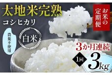 【先行予約】お米の定期便 農薬不使用米 太地米完熟 【こしひかり】 白米3kg×3か月連続 ブランド米 お米 精米 白米 人気 F7X-0404