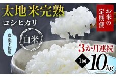 【先行予約】お米の定期便 農薬不使用米 太地米完熟 【こしひかり】 白米10kg×3か月連続 ブランド米 お米 精米 白米 人気 F7X-0420