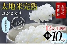 【先行予約】お米の定期便 農薬不使用米 太地米完熟 【こしひかり】 白米10kg×12か月連続 ブランド米 お米 精米 白米 人気 F7X-0423