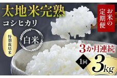 【先行予約】お米の定期便 特別栽培米 太地米完熟 【こしひかり】 白米3kg×3か月連続 ブランド米 お米 精米 白米 人気 F7X-0372