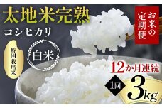 【先行予約】お米の定期便 特別栽培米 太地米完熟 【こしひかり】 白米3kg×12か月連続 ブランド米 お米 精米 白米 人気 F7X-0375