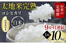 【先行予約】お米の定期便 特別栽培米 太地米完熟 【こしひかり】 白米10kg×9か月連続 ブランド米 お米 精米 白米 人気 F7X-0390