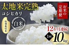 【先行予約】お米の定期便 特別栽培米 太地米完熟 【こしひかり】 白米10kg×12か月連続 ブランド米 お米 精米 白米 人気 F7X-0391