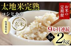 【先行予約】お米の定期便 特別栽培米 太地米完熟 【こしひかり】 玄米2kg×9か月連続 ブランド米 お米 人気 F7X-0370