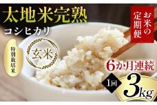 【先行予約】お米の定期便 特別栽培米 太地米完熟 【こしひかり】 玄米3kg×6か月連続 ブランド米 お米 人気 F7X-0377