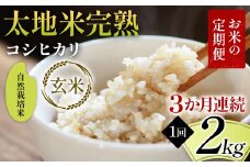 【先行予約】お米の定期便 自然栽培米 太地米完熟 【こしひかり】 玄米2kg×3か月連続 ブランド米 お米 人気 F7X-0432