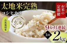 【先行予約】お米の定期便 自然栽培米 太地米完熟 【こしひかり】 玄米2kg×9か月連続 ブランド米 お米 人気 F7X-0434