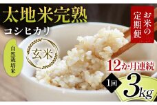 【先行予約】お米の定期便 自然栽培米 太地米完熟 【こしひかり】 玄米3kg×12か月連続 ブランド米 お米 人気 F7X-0443