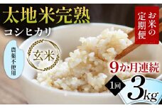 【先行予約】お米の定期便 農薬不使用米 太地米完熟 【こしひかり】 玄米3kg×9か月連続 ブランド米 お米 人気 F7X-0410