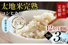 【先行予約】お米の定期便 農薬不使用米 太地米完熟 【こしひかり】 玄米3kg×12か月連続 ブランド米 お米 人気 F7X-0411