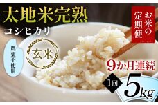 【先行予約】お米の定期便 農薬不使用米 太地米完熟 【こしひかり】 玄米5kg×9か月連続 ブランド米 お米 人気 F7X-0418