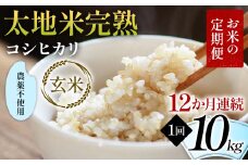 【先行予約】お米の定期便 農薬不使用米 太地米完熟 【こしひかり】 玄米10kg×12か月連続 ブランド米 お米 人気 F7X-0427