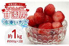冷凍いちご「甘園房～あまえんぼう～」 約1kg(約500g×2袋) いちご イチゴ 苺 デザート フルーツ 果物 くだもの 果実 食品 F7X-0156