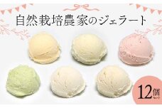 自然栽培農家のジェラート 12個セット ジェラート デザート スイーツ 菓子 食品 F7X-0363