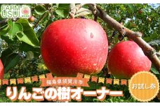 りんごの樹のオーナー お試し（サンふじ50個） 体験 農作業 収穫 りんご リンゴ 林檎 デザート フルーツ 果物 くだもの F7X-0479