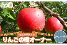 りんごの樹のオーナー シルバー（サンふじ200個） 体験 農作業 収穫 りんご リンゴ 林檎 デザート フルーツ 果物 くだもの F7X-0481
