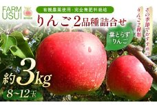 有機農薬使用・完全無肥料栽培「りんご2品種詰合せ」葉とらずりんご約3㎏（8～12玉） F7X-0461
