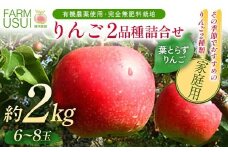 家庭用 有機農薬使用・完全無肥料栽培「りんご2品種詰合せ」葉とらずりんご約2㎏（6～8玉） F7X-0463
