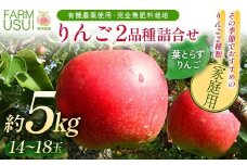 家庭用 有機農薬使用・完全無肥料栽培「りんご2品種詰合せ」葉とらずりんご約5㎏（14～18玉） F7X-0465