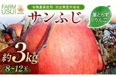 有機農薬使用・完全無肥料栽培「サンふじ」葉とらずりんご約3kg（8～12玉） F7X-0467