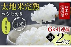 【先行予約】お米の定期便 自然栽培米 太地米完熟 【こしひかり】 白米2kg×6か月連続 ブランド米 お米 精米 白米 人気 F7X-0429