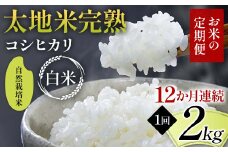 【先行予約】お米の定期便 自然栽培米 太地米完熟 【こしひかり】 白米2kg×12か月連続 ブランド米 お米 精米 白米 人気 F7X-0431