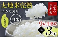 【先行予約】お米の定期便 自然栽培米 太地米完熟 【こしひかり】 白米3kg×9か月連続 ブランド米 お米 精米 白米 人気 F7X-0438