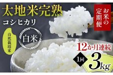 【先行予約】お米の定期便 自然栽培米 太地米完熟 【こしひかり】 白米3kg×12か月連続 ブランド米 お米 精米 白米 人気 F7X-0439