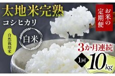【先行予約】お米の定期便 自然栽培米 太地米完熟 【こしひかり】 白米10kg×3か月連続 ブランド米 お米 精米 白米 人気 F7X-0452