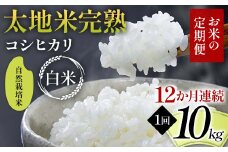 【先行予約】お米の定期便 自然栽培米 太地米完熟 【こしひかり】 白米10kg×12か月連続 ブランド米 お米 精米 白米 人気 F7X-0455