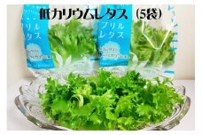 低カリウムレタス（5袋セット）　【07208-0088】