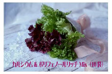 カルシウム&ポリフェノールリッチレタスMix（10袋セット）　【07208-0091】