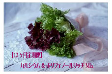 【定期便】カルシウム&ポリフェノールリッチレタスMix（毎月12ヶ月お届け）　【07208-0095】