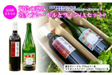 福島の恵み　喜多方シードルとワイン（Aセット）　シードル　マスカットベイリー　750ｍｌ　各１本　計２本　ギフト　お土産【07208-0099】