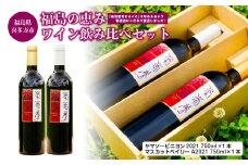 福島の恵み　ワイン飲み比べセット　ヤマソービニヨン　マスカットベイリー　750ｍｌ　各１本　計２本　ギフト　お土産【07208-0098】