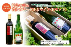 福島の恵み　喜多方シードルとワイン（Bセット）　シードル　ヤマソービニヨン　750ｍｌ　各１本　計２本　ギフト　お土産【07208-0100】