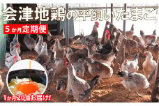 会津地鶏卵定期便（1箱20個）5ヶ月間　【07208-0171】