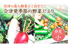 会津発季節の野菜だより（小・春夏）　【07208-0256】
