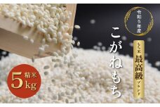 令和5年度産会津喜多方産こがねもち5kg×1袋　【07208-0351】