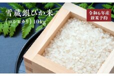 【令和６年産】雪蔵銀ぴか米（コシヒカリ）10kg　【07208-0347-C】