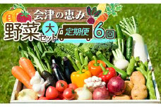 会津発　季節の野菜だより（大）定期便6回　【07208-0264】