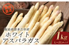 ホワイトアスパラガス1kg（2L、L込）　【07208-0653】