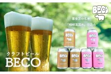 クラフトビールBECO詰め合わせセット　350ml缶　計６本　セット　ギフト　人気　お土産　グルメ【07208-0651】