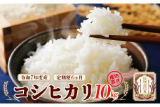 令和7年産　特別栽培米コシヒカリ　 10kg×６回　計60kg　【先行予約】　【6か月定期便】雪蔵銀ぴか米 （令和7年10月14日以降発送）【07208-0686】