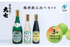 《2025年11月下旬以降順次発送》大七酒造 梅酒飲み比べセット「生もと梅酒 極上品720ml」「生もと梅酒300ml」「生もと梅酒シルキースパークリング300ml」合計3本【道の駅安達】 酒 お酒 梅酒 人気 ランキング おすすめ ふるさと 納税 福島 ふくしま 二本松市 送料無料【道の駅安達】