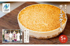 福島県あだたら高原 チーズが苦手な職人が作った濃厚なめらか チーズケーキ 5号 スイーツ 人気 ランキング おすすめ ギフト 故郷 ふるさと 納税 福島 ふくしま 二本松市 送料無料【チーズケーキ工房風花】